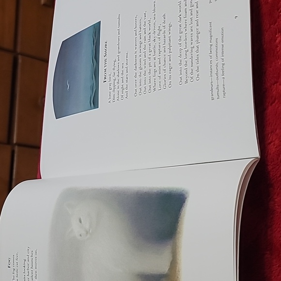 Carl Sandburg Poetry for Young People, Scholastic Edition. - Picture 3 of 4